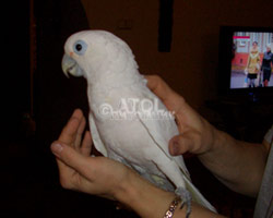 ��������� ������